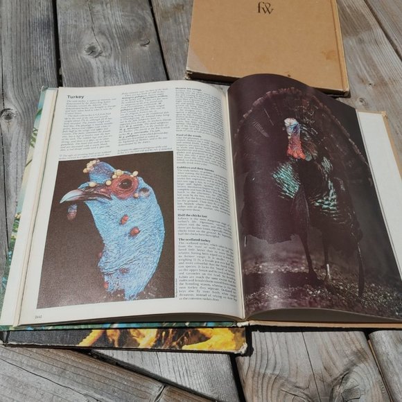 VINTAGE Funk & Wagnalls Wildlife Encyclopedias Lot of 3 Volumes 14, 17, … - Picture 5 of 9